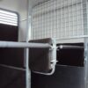 Van DUO