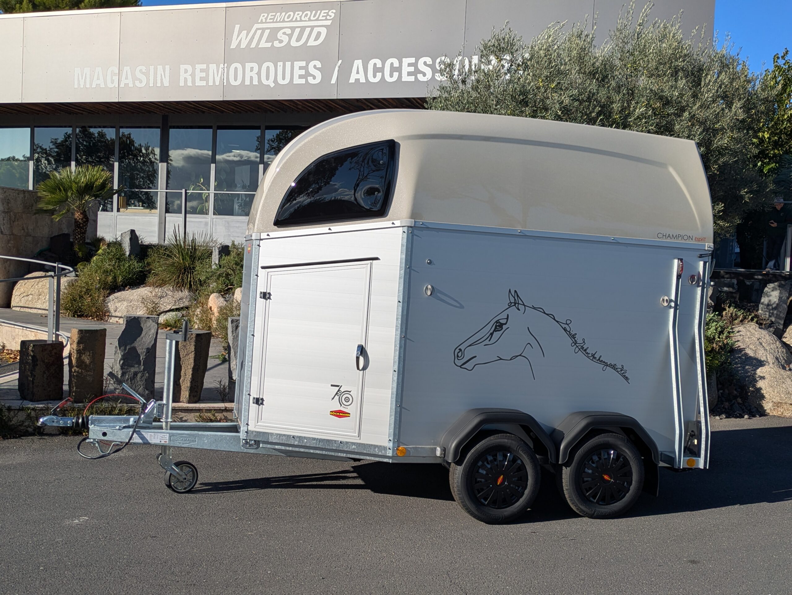 van duo champion edition anniversaire – Image 2