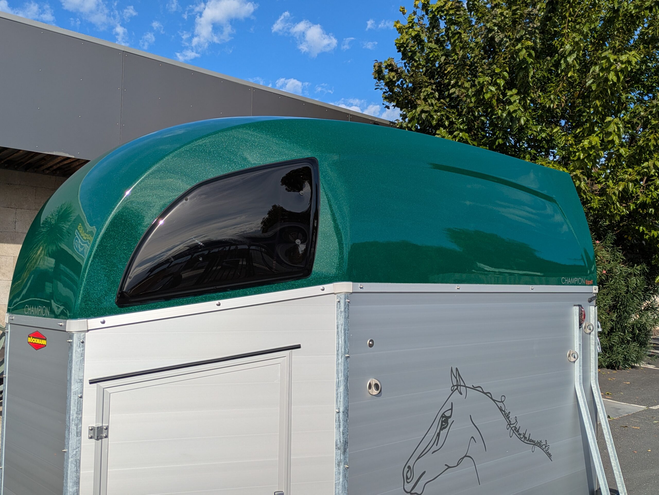 van duo champion edition anniversaire – Image 17